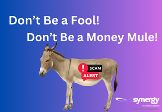 Money Mule Fraud